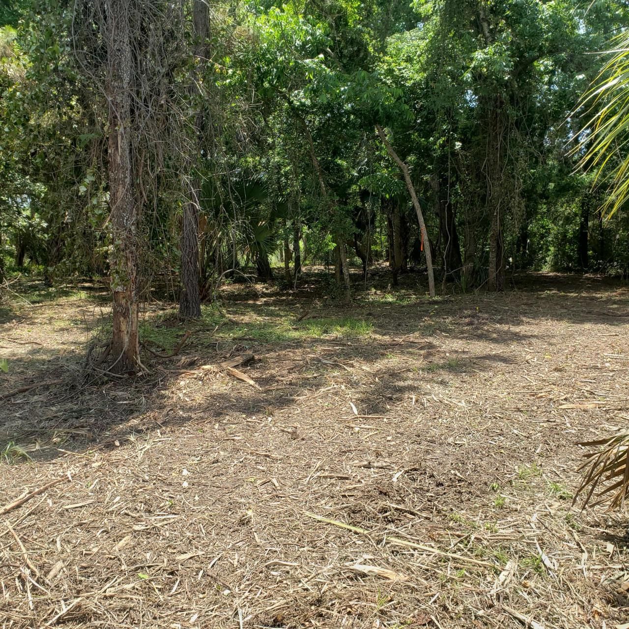 723 Jan Savage Way Photo 4