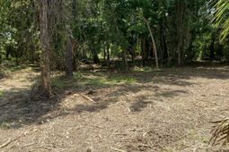 723 Jan Savage Way photo 4