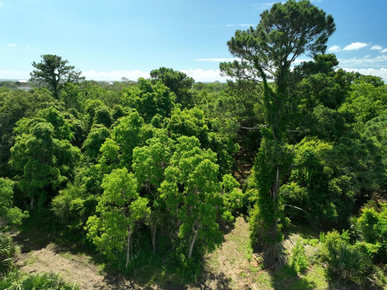 723 Jan Savage Way Photo 5