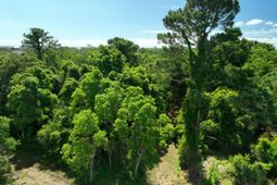 723 Jan Savage Way photo 4