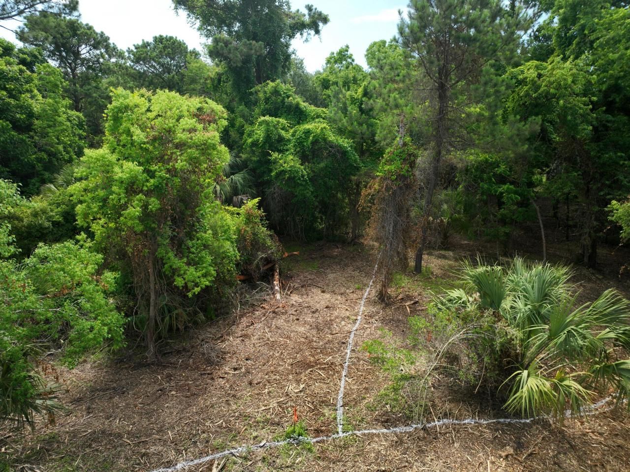 723 Jan Savage Way Photo 6