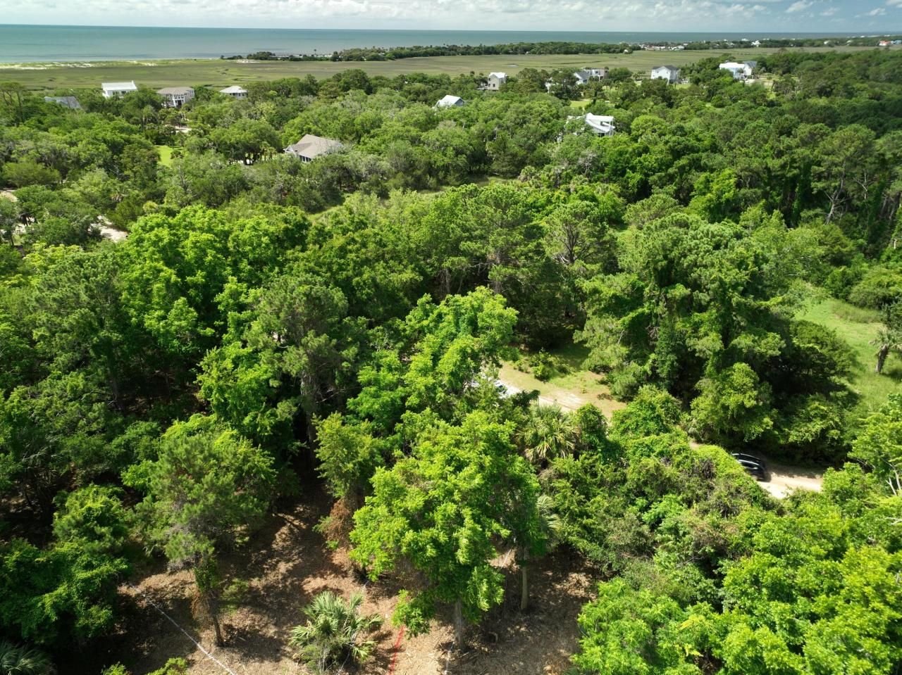 723 Jan Savage Way Photo 7