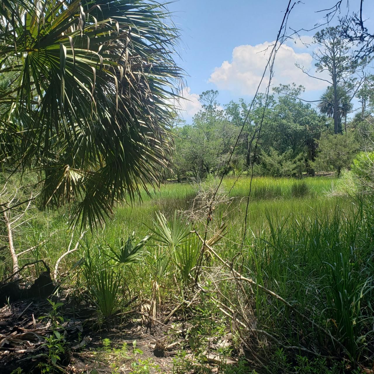 723 Jan Savage Way Photo 8