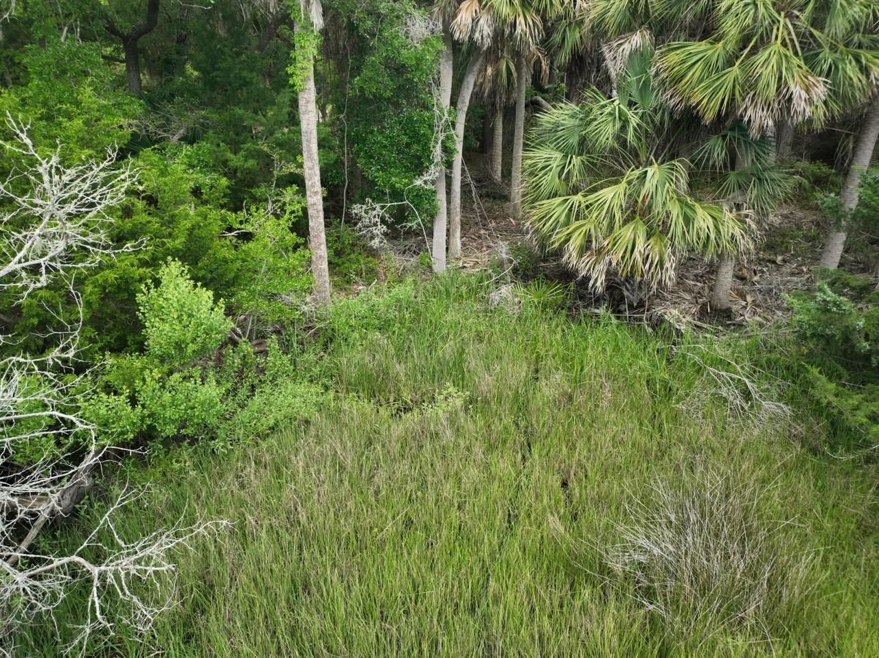 723 Jan Savage Way Photo 9