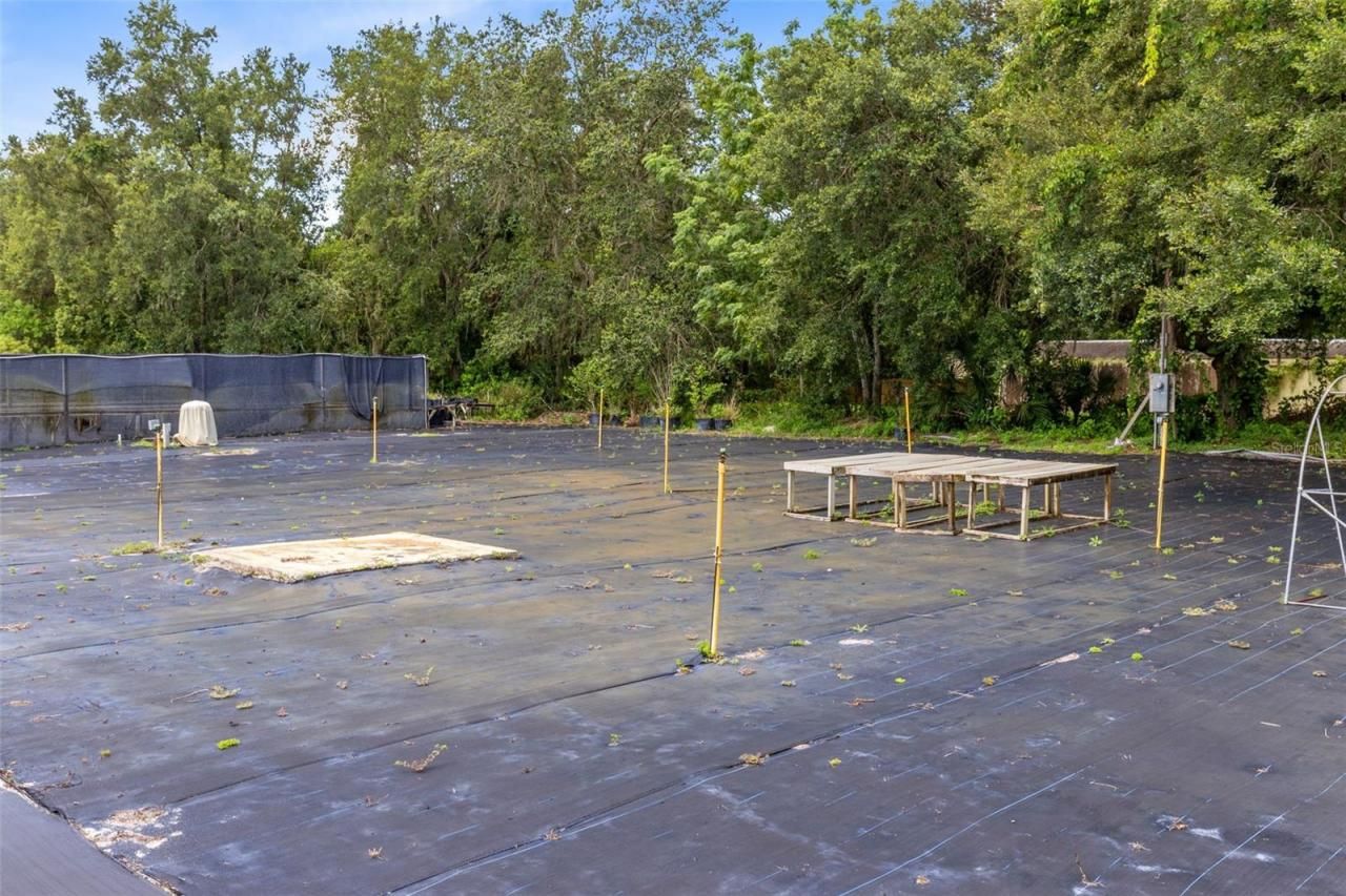 424 E Welch Road, Apopka, FL 32712 Photo