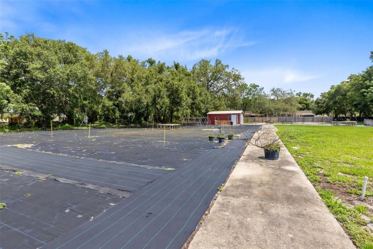 424 E Welch Road, Apopka, FL 32712 Photo