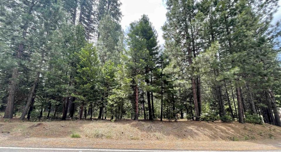 1008 Timber Ridge Road, Lake Almanor, CA 96137 Photo