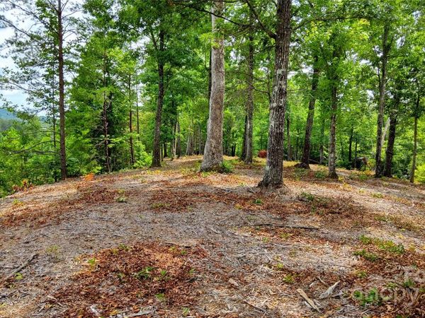 00 Wambli Pass, Lake Lure, NC 28746