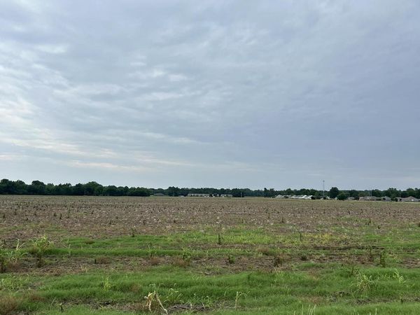 Wynne, AR 72396