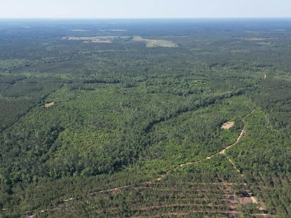 0 Lockwood Drive, Deer Park, AL 36529