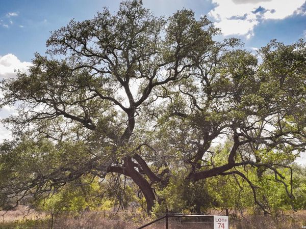 327 PR Sunset Vista Dr Lot 74, Somerset, TX 78069