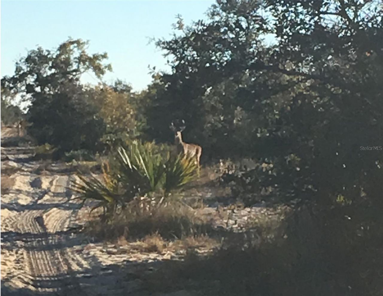 5525 Sparta Road, Sebring, FL 33875 Photo