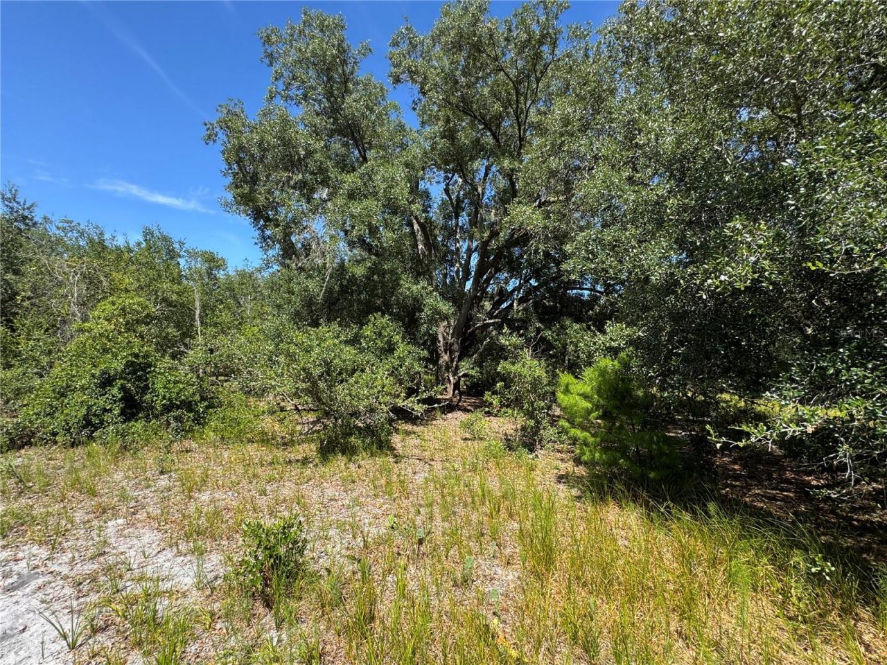 5525 Sparta Road, Sebring, FL 33875 Photo