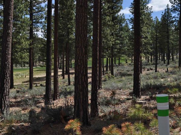 127 Walton Toll Road, Carson City, NV 89705