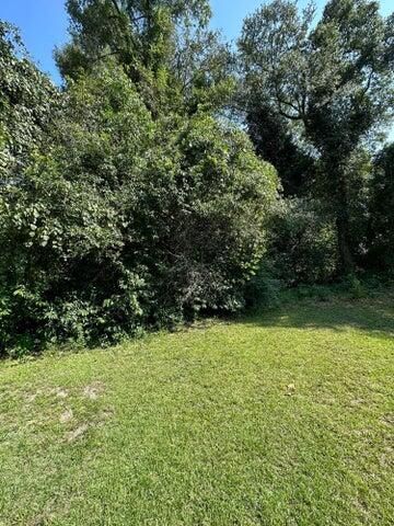 113 Graham Lane Photo 4