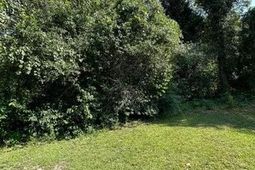 113 Graham Lane photo 4