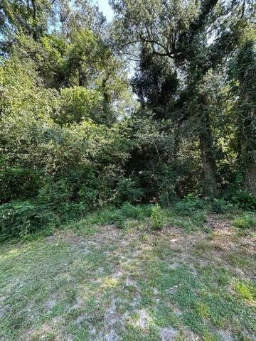 113 Graham Lane Photo 5