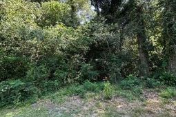 113 Graham Lane photo 4
