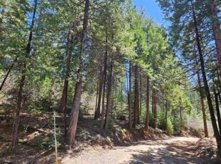 1 Indian Diggins Rd, Somerset, CA 95684 Photo