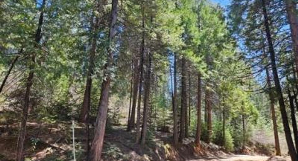 1 Indian Diggins Rd, Somerset, CA 95684 Photo