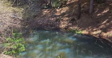 1 Indian Diggins Rd, Somerset, CA 95684 Photo