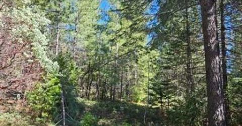 1 Indian Diggins Rd, Somerset, CA 95684 Photo