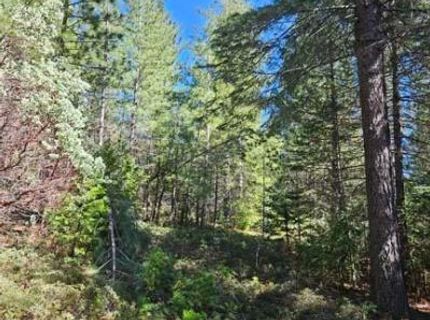 1 Indian Diggins Rd, Somerset, CA 95684 Photo