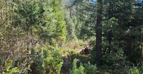 1 Indian Diggins Rd, Somerset, CA 95684 Photo