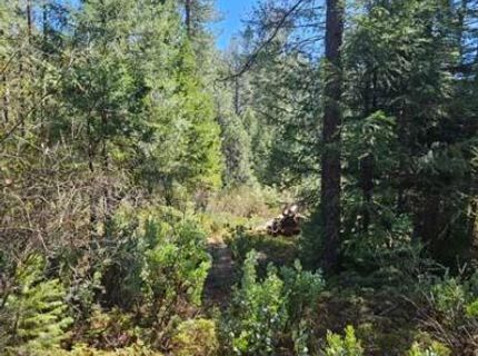 1 Indian Diggins Rd, Somerset, CA 95684 Photo