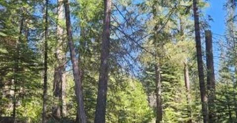 1 Indian Diggins Rd, Somerset, CA 95684 Photo