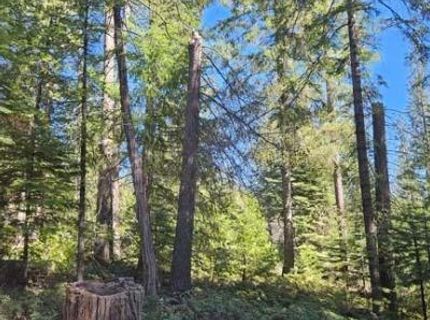 1 Indian Diggins Rd, Somerset, CA 95684 Photo