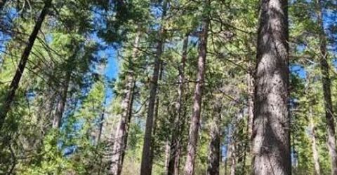 1 Indian Diggins Rd, Somerset, CA 95684 Photo