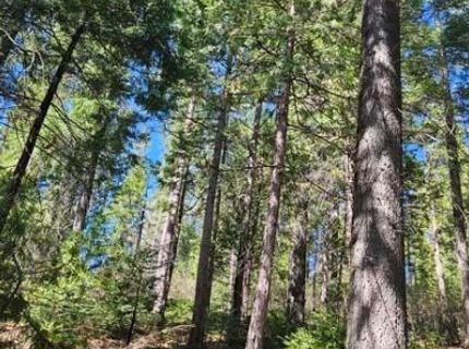 1 Indian Diggins Rd, Somerset, CA 95684 Photo