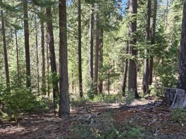 2 Indian Diggins Rd, Somerset, CA 95684