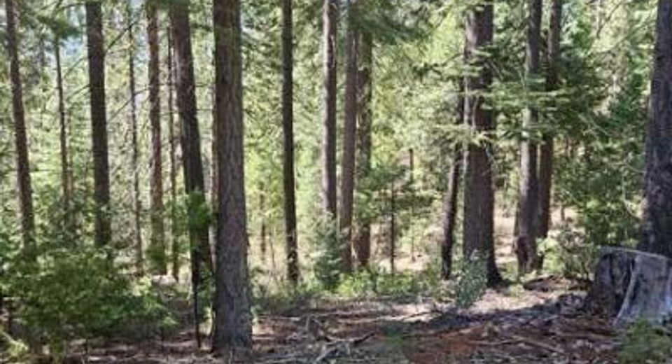 2 Indian Diggins Rd, Somerset, CA 95684 Photo