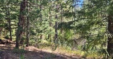 2 Indian Diggins Rd, Somerset, CA 95684 Photo