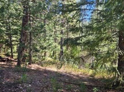 2 Indian Diggins Rd, Somerset, CA 95684 Photo