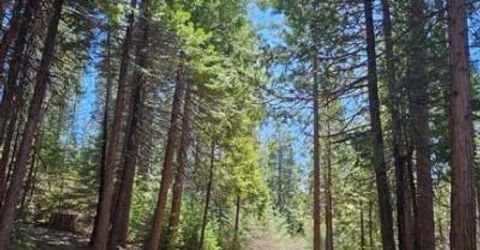 2 Indian Diggins Rd, Somerset, CA 95684 Photo