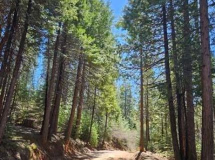 2 Indian Diggins Rd, Somerset, CA 95684 Photo