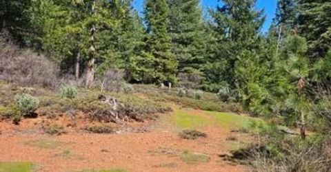 2 Indian Diggins Rd, Somerset, CA 95684 Photo