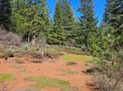 2 Indian Diggins Rd, Somerset, CA 95684 Photo