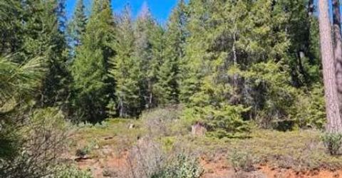 2 Indian Diggins Rd, Somerset, CA 95684 Photo