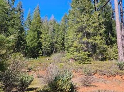 2 Indian Diggins Rd, Somerset, CA 95684 Photo