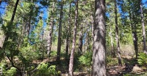 2 Indian Diggins Rd, Somerset, CA 95684 Photo