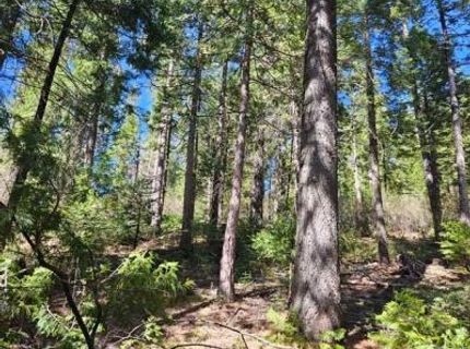 2 Indian Diggins Rd, Somerset, CA 95684 Photo