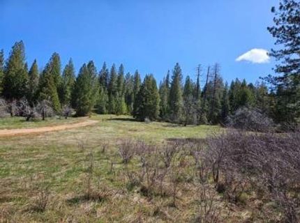 3 Indian Diggins Rd, Somerset, CA 95684 Photo