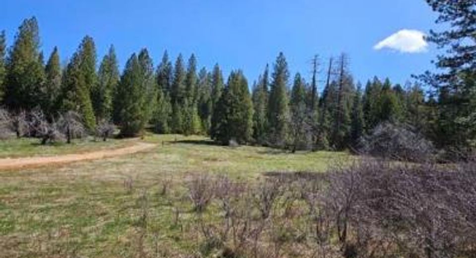 3 Indian Diggins Rd, Somerset, CA 95684 Photo