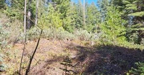 3 Indian Diggins Rd, Somerset, CA 95684 Photo