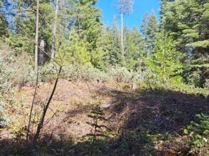 3 Indian Diggins Rd, Somerset, CA 95684 Photo