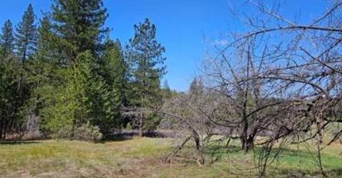 3 Indian Diggins Rd, Somerset, CA 95684 Photo